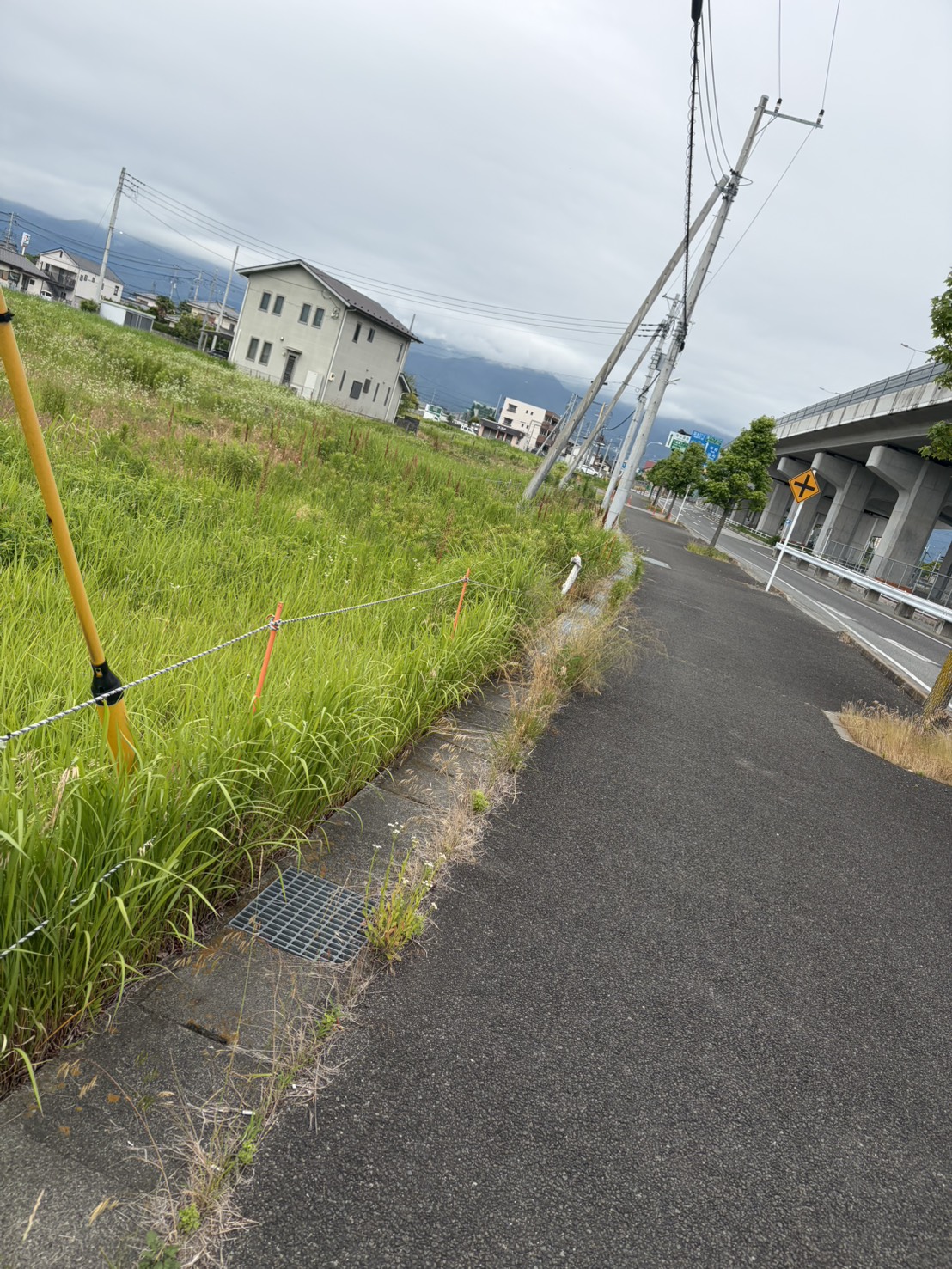 投稿写真1